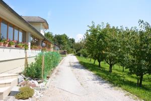 Bergant - Teraž (8)